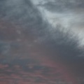 DSC6189
