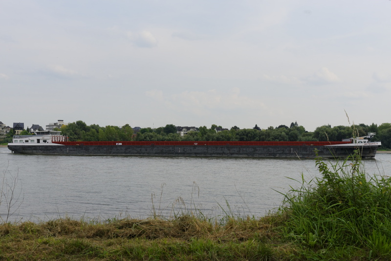 rhein