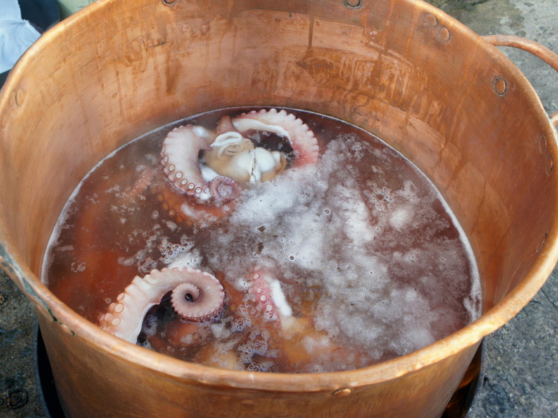 squid