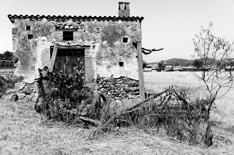 DSC5193
