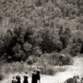 DSC4717